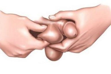 Le massage est une méthode efficace d’agrandissement du pénis