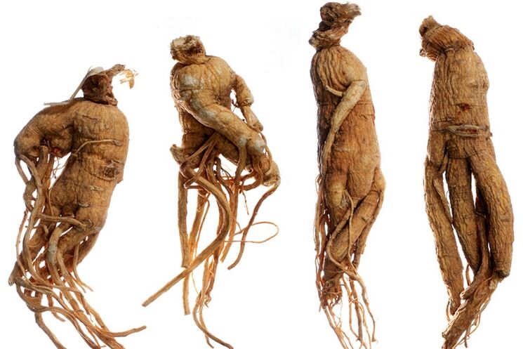 racine de ginseng pour l'agrandissement du pénis